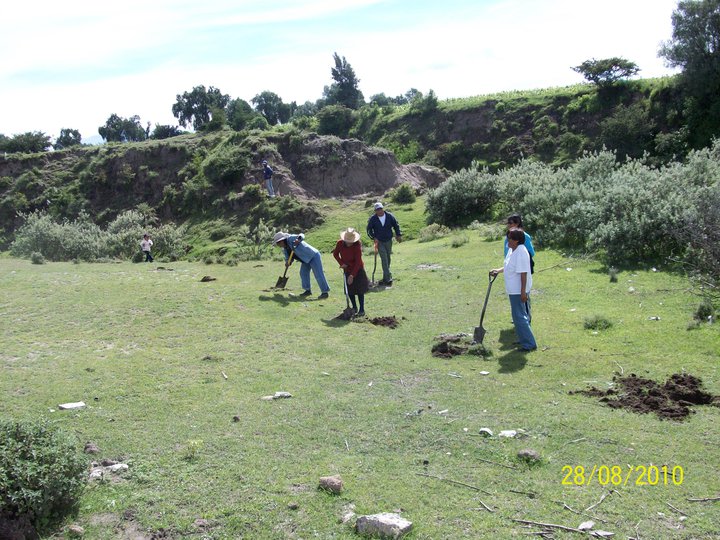 Proyecto CICA 3